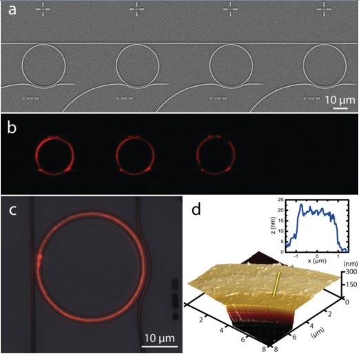 Photonic structures